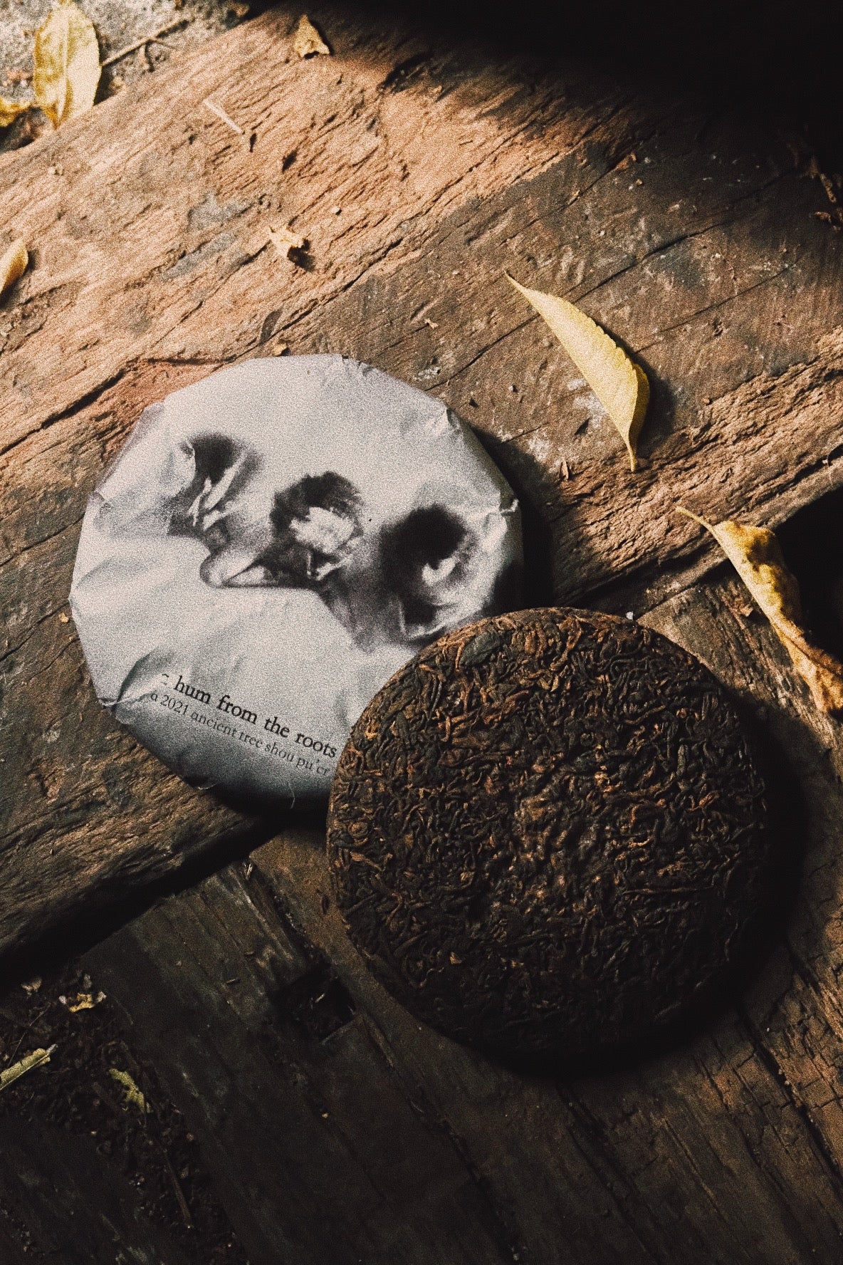 a hum from the roots