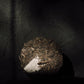 …from liminal spaces