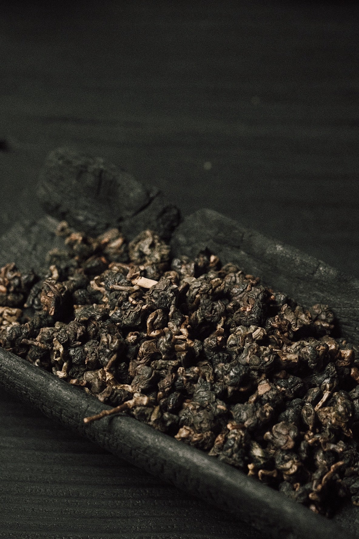 the ember of a softening heart
