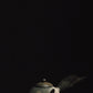 wooden handle yixing teapot • woodfired