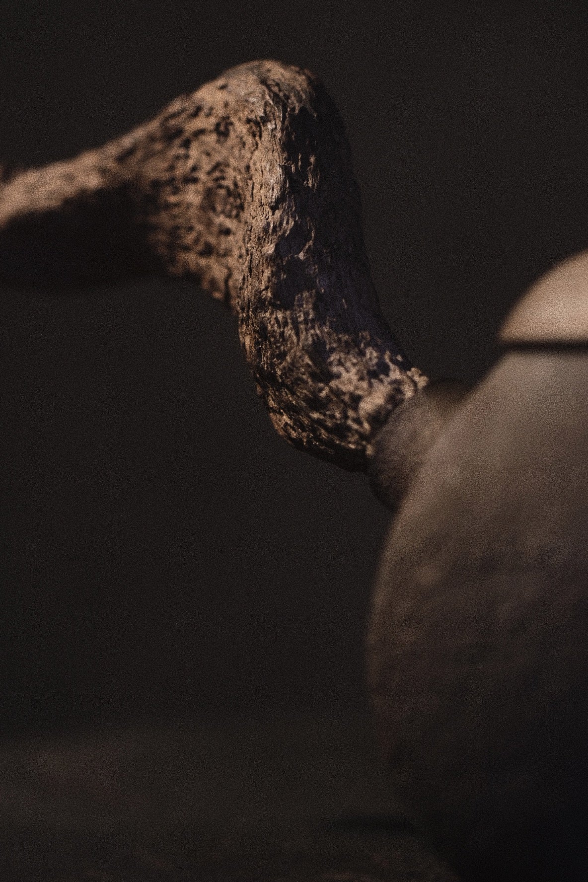anda 1.2 • sidehandle teapot
