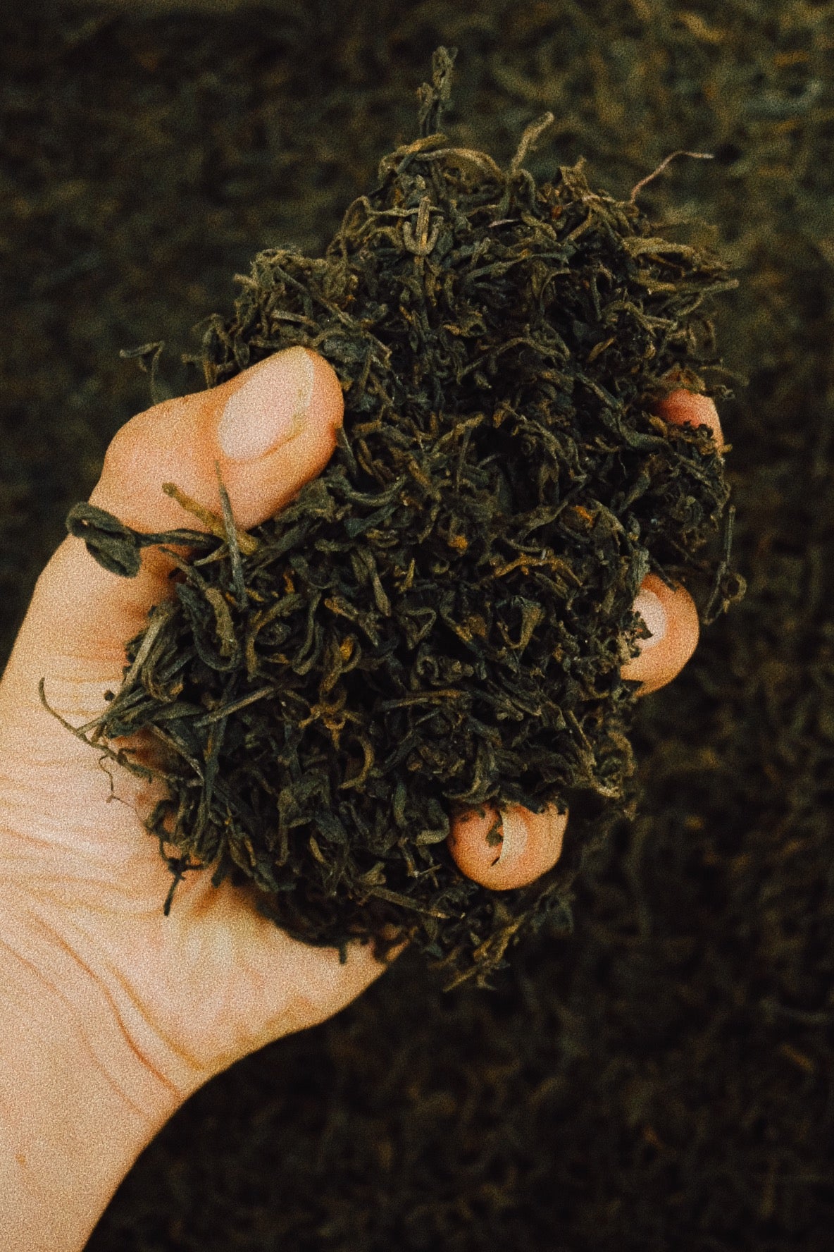 taiwan collectors tea | mystery box