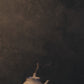 hearth 2.3 • sidehandle teapot