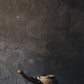 ruin 2.1 • sidehandle teapot