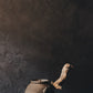 ruin 3.2 • sidehandle teapot